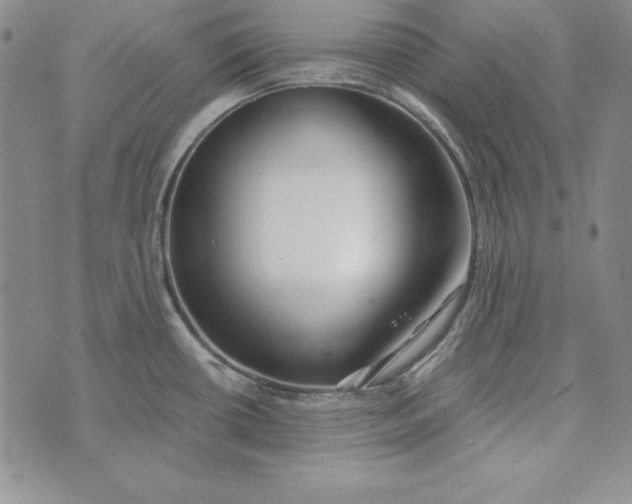 X0000076271434200610191728