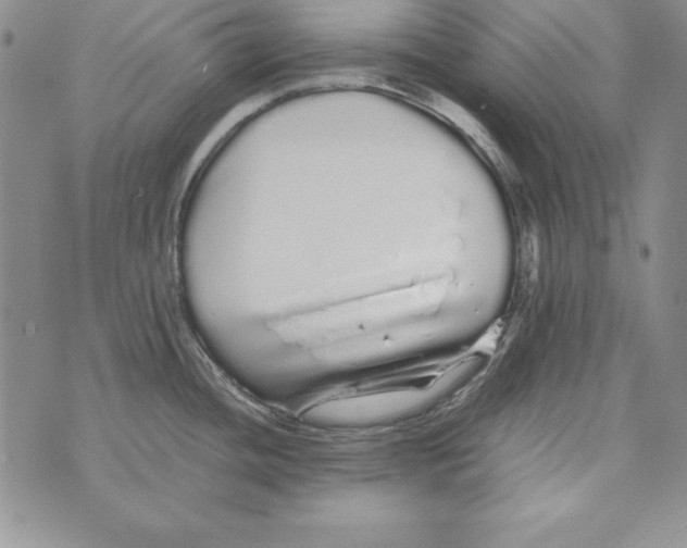 X0000076271436200610191728