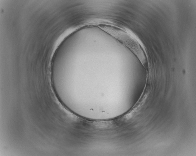 X0000076271437200610191728