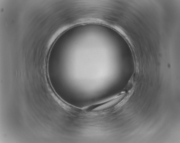 X0000076271438200610191728