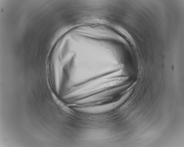 X0000076271439200610191728