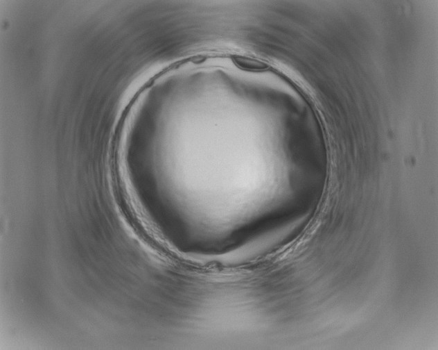 X0000076271440200610191728