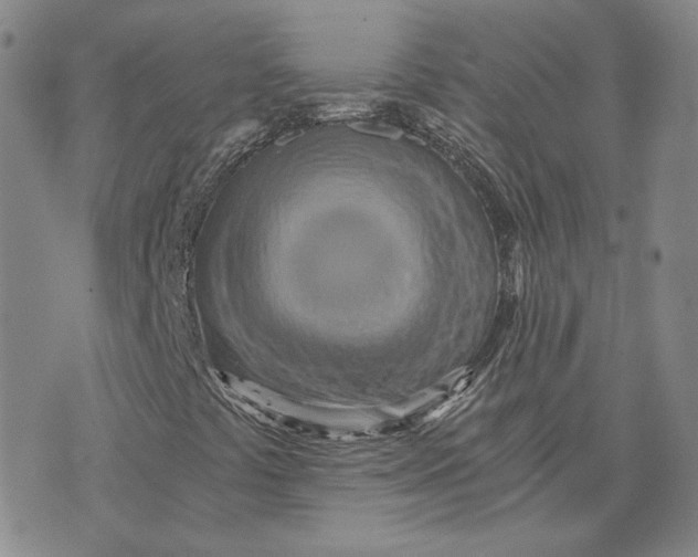 X0000076271441200610191727