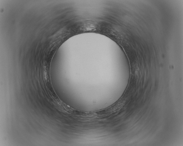 X0000076271442200610191727