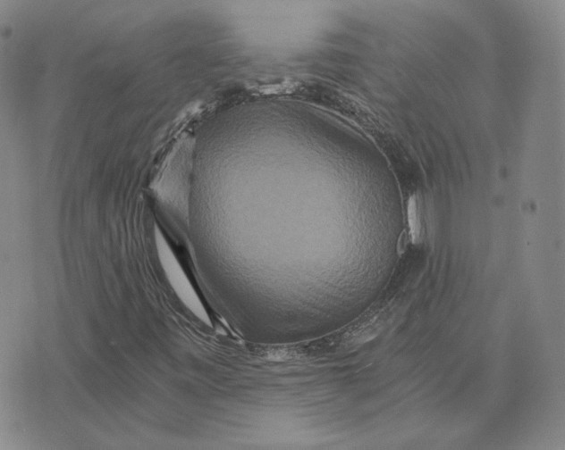 X0000076271443200610191727