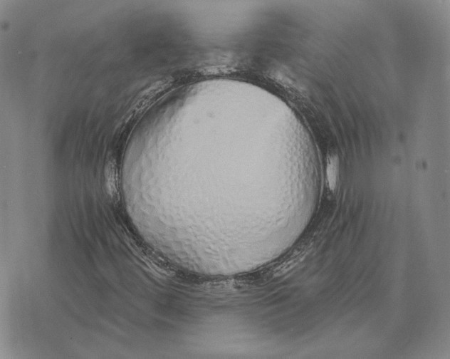 X0000076271444200610191727