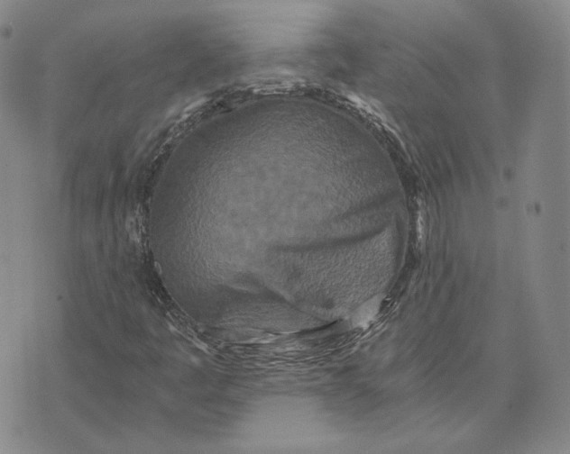 X0000076271445200610191727