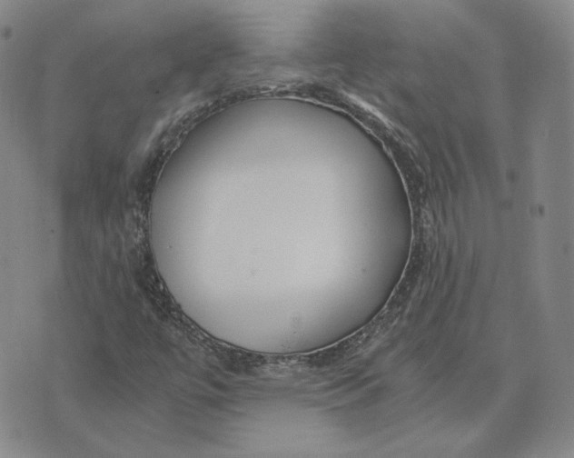 X0000076271447200610191727