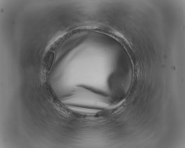 X0000076271448200610191727