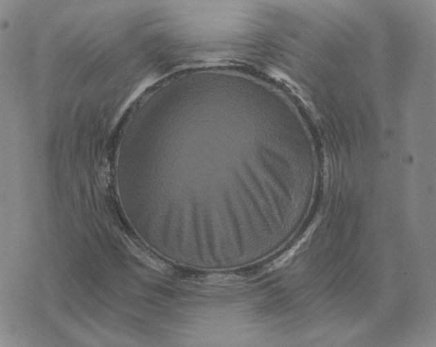 X0000076271449200610191727