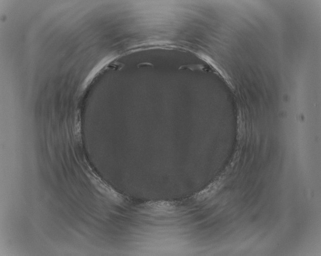 X0000076271450200610191727