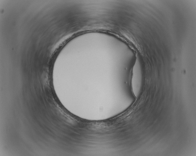 X0000076271452200610191727