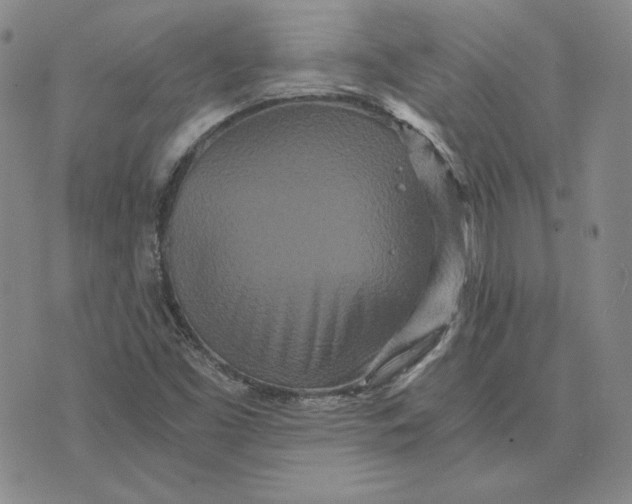 X0000076271453200610191727