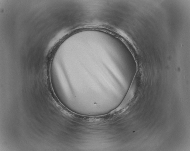 X0000076271456200610191727