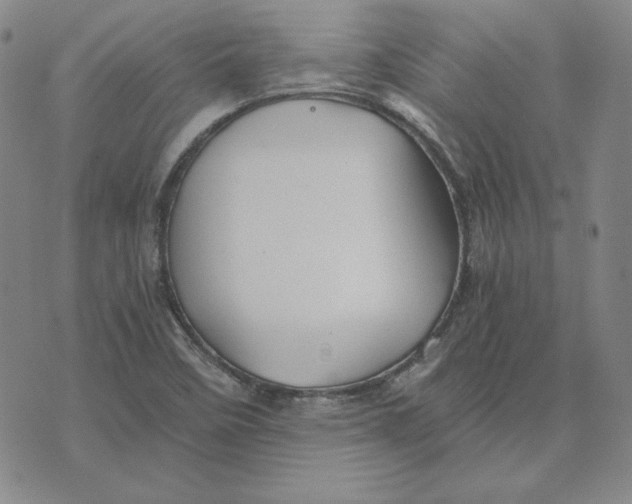 X0000076271458200610191727