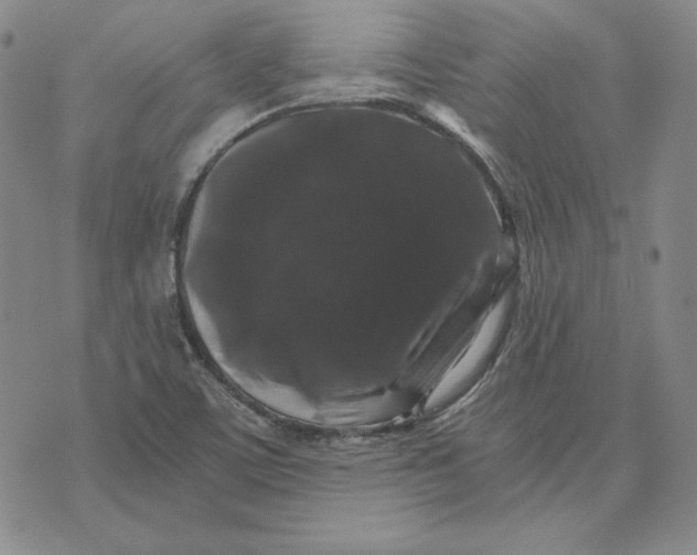 X0000076271459200610191727