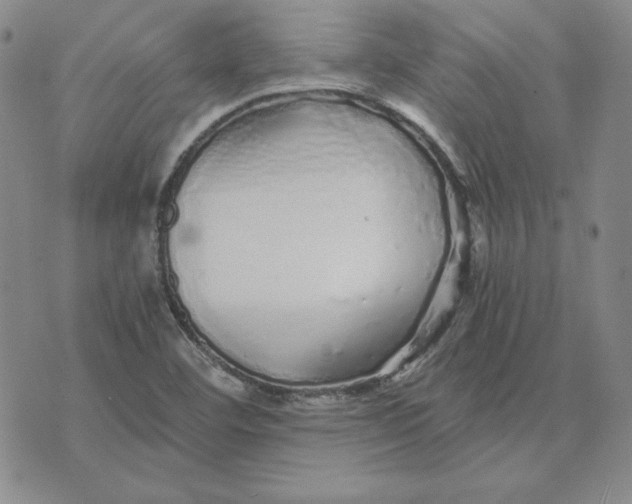 X0000076271460200610191727