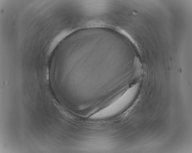 X0000076271461200610191727