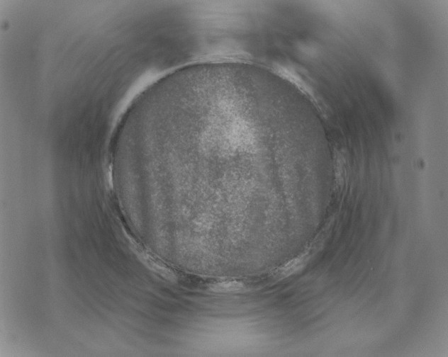 X0000076271462200610191727