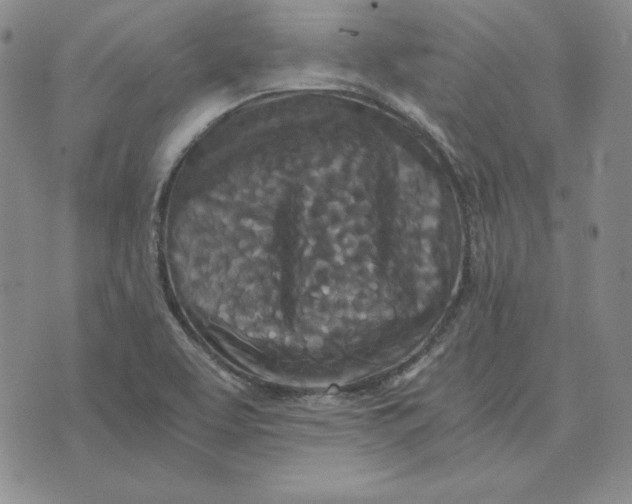 X0000076271463200610191727