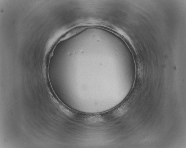 X0000076271464200610191727