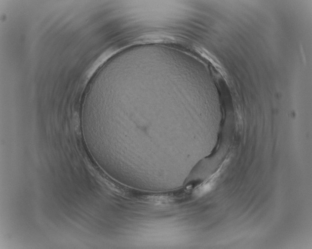 X0000076271465200610191727