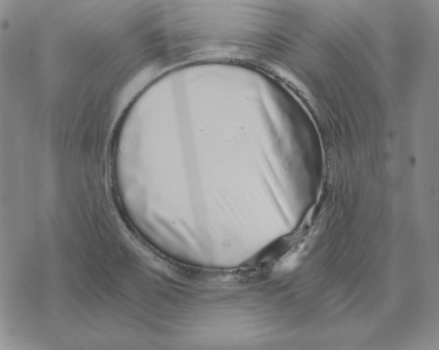 X0000076271467200610191727