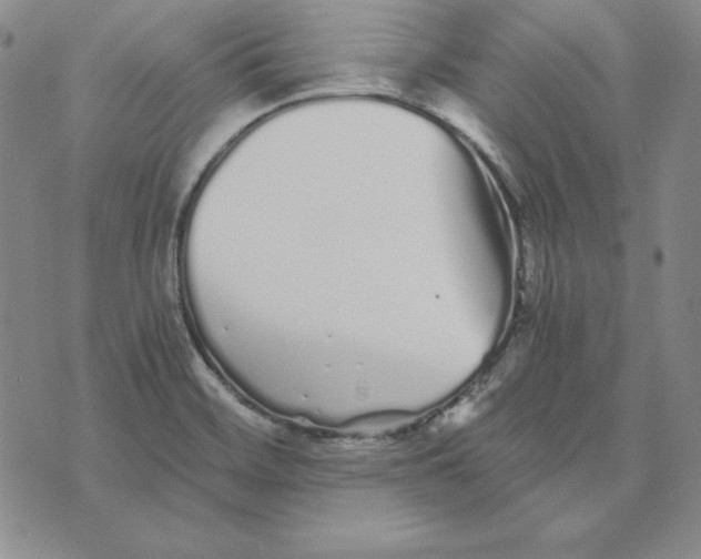 X0000076271468200610191727