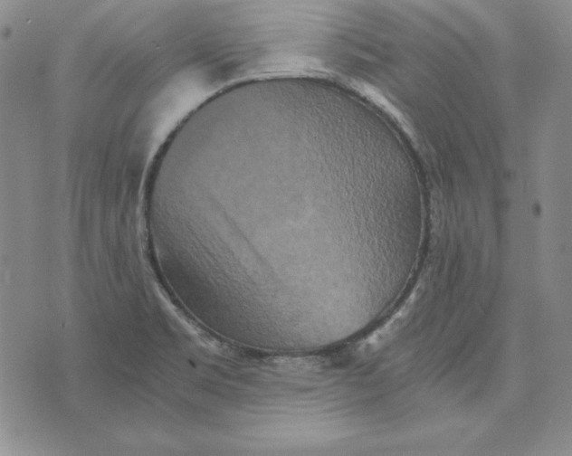 X0000076271469200610191727