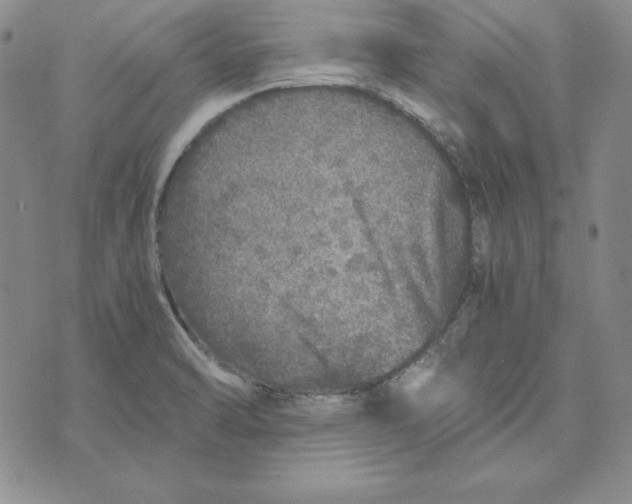 X0000076271470200610191727