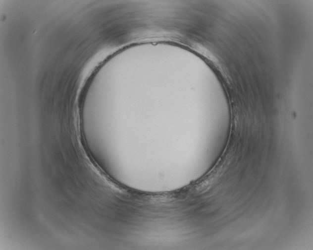 X0000076271472200610191727