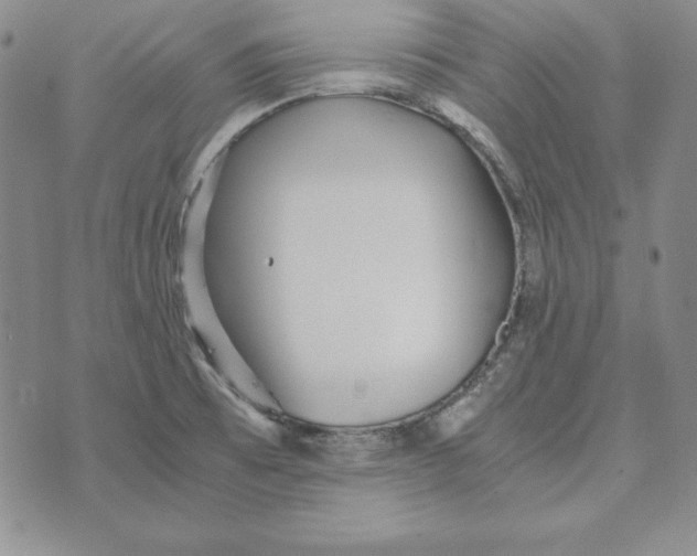 X0000076271473200610191727