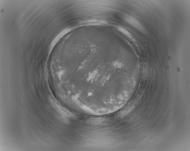 X0000076271474200610191727