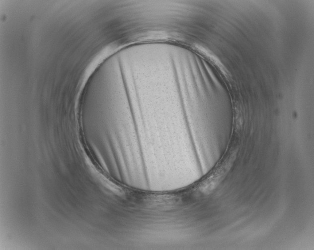 X0000076271475200610191727