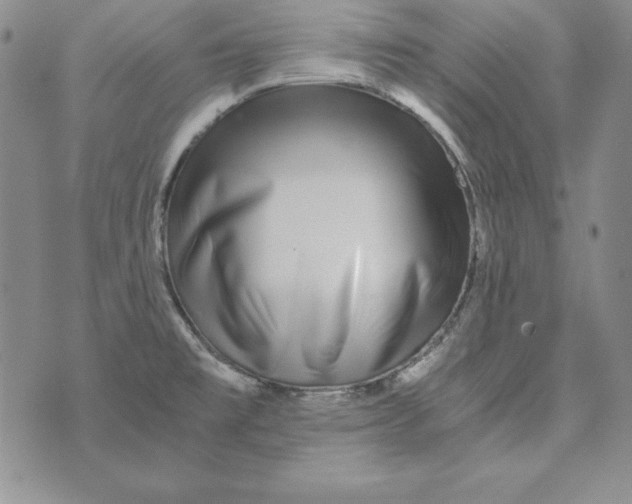 X0000076271477200610191727