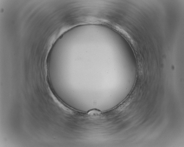 X0000076271479200610191727