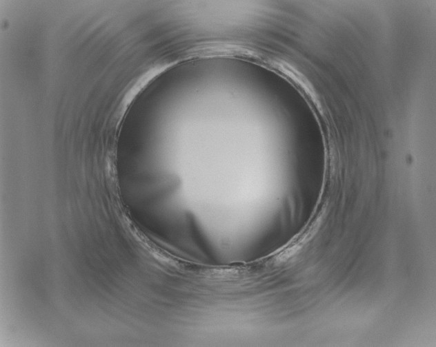 X0000076271481200610191727