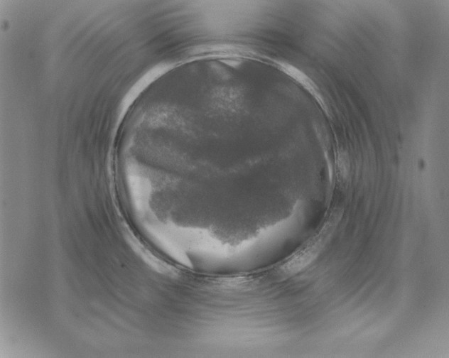 X0000076271482200610191727