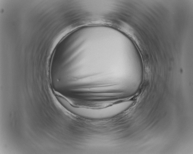 X0000076271483200610191727