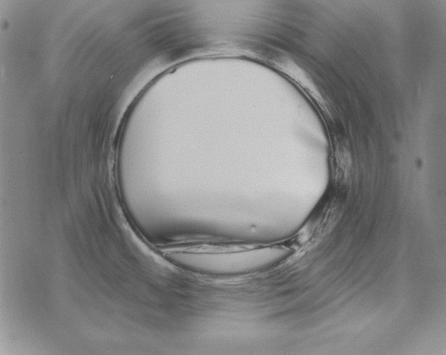 X0000076271484200610191727