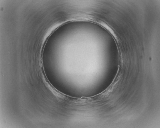 X0000076271485200610191727