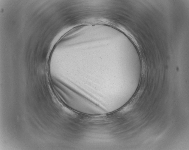 X0000076271486200610191727