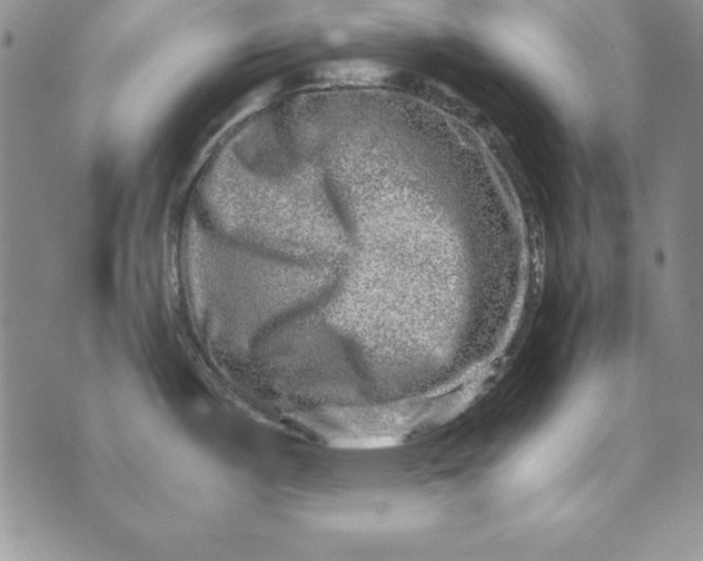 X0000076271487200610191727