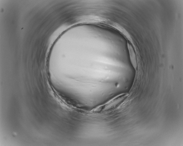 X0000076271488200610191727