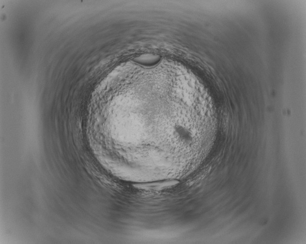 X0000076271489200610191726