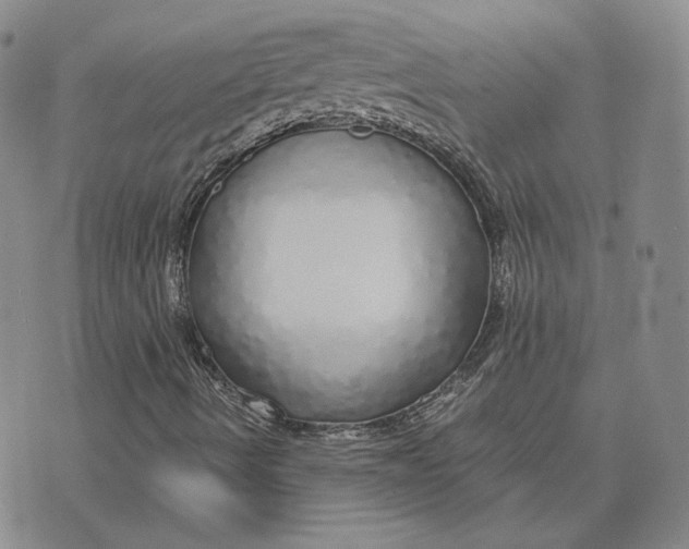 X0000076271490200610191726