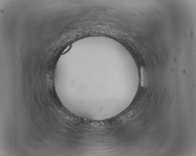 X0000076271491200610191726