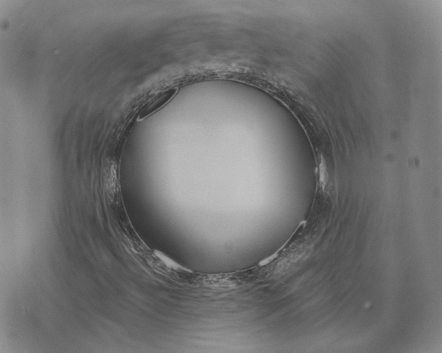 X0000076271492200610191726