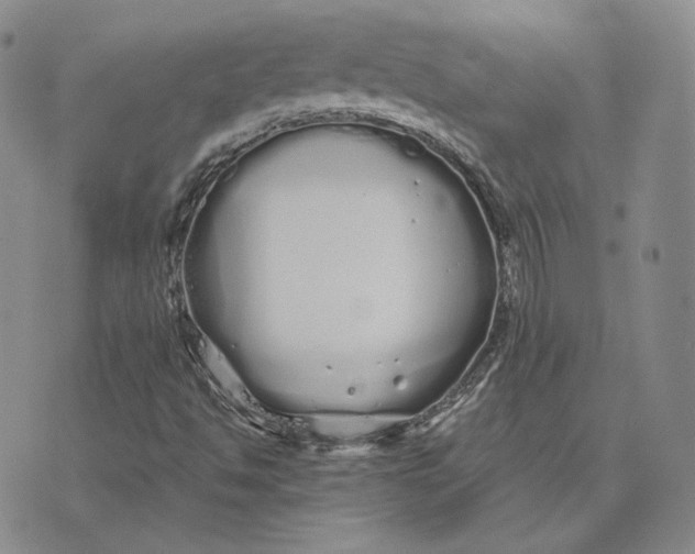 X0000076271494200610191726