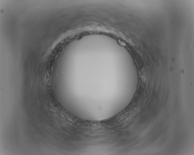 X0000076271495200610191726